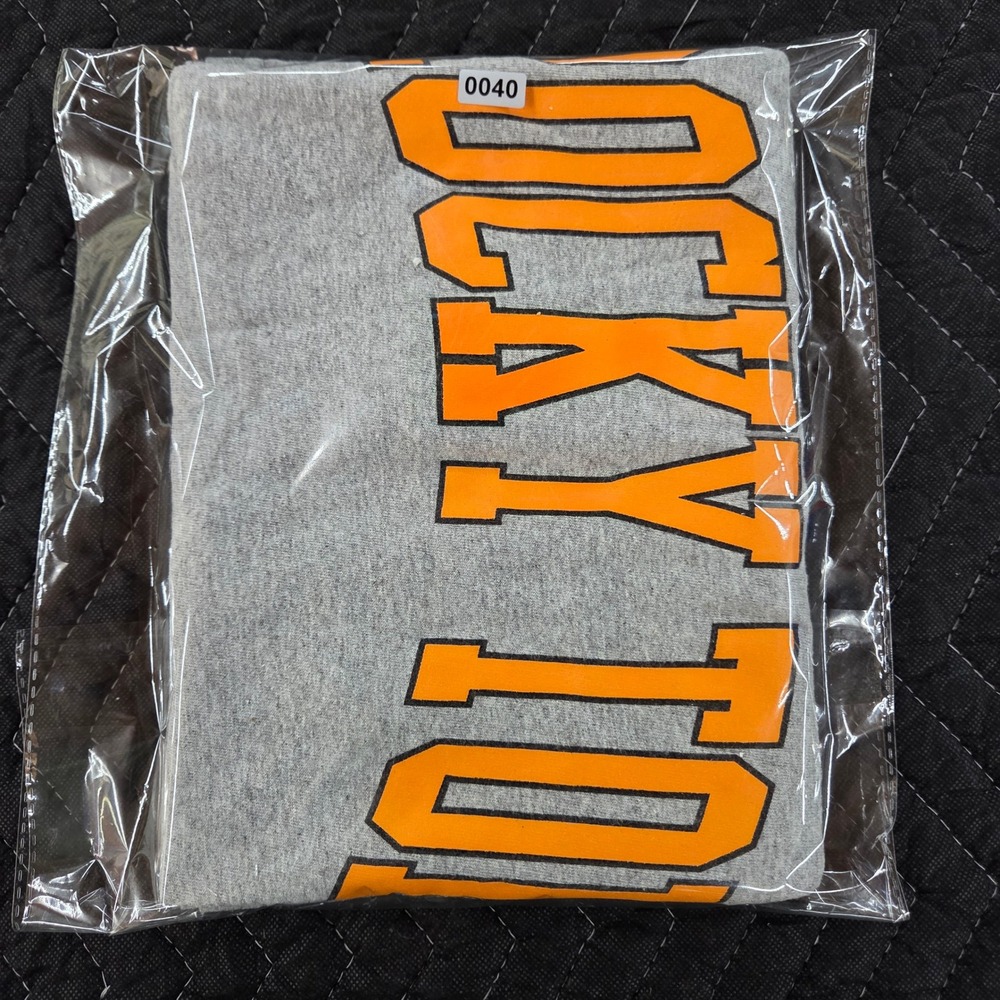 Mens Champion Tennessee Vols Rocky Top Shirt Gray Large UT Volunteers NCAA Tee - Picture 8 of 8